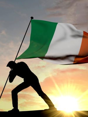 Irish Citizenship Application – Naturalisation (Form 8)