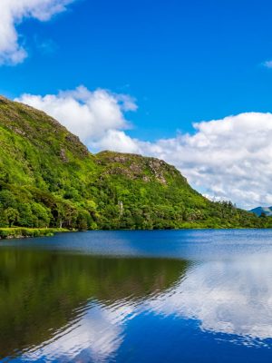 Business Visa Services