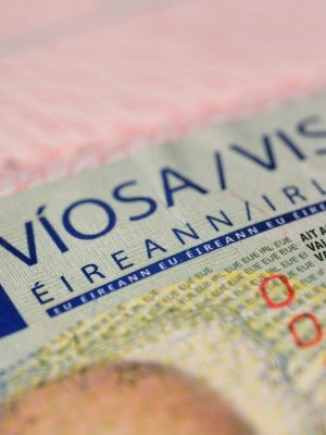 Stamp 1 Renewal Application Assistance