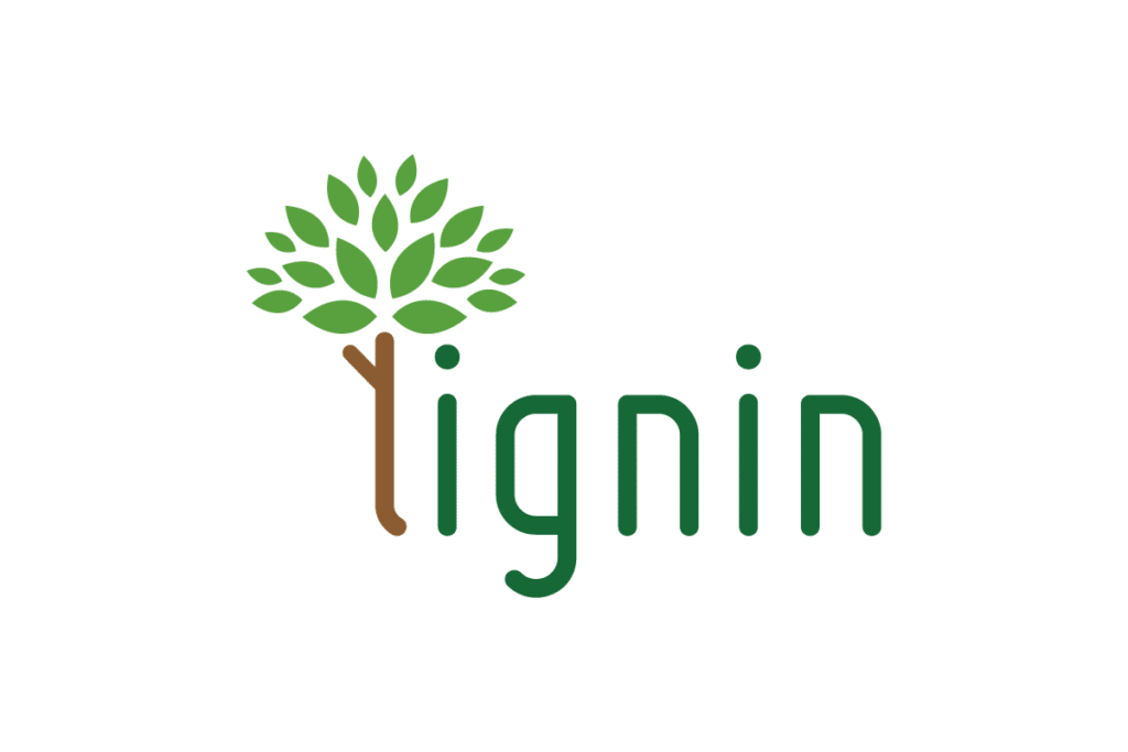 Lignin - Web Design Agency in Kerry